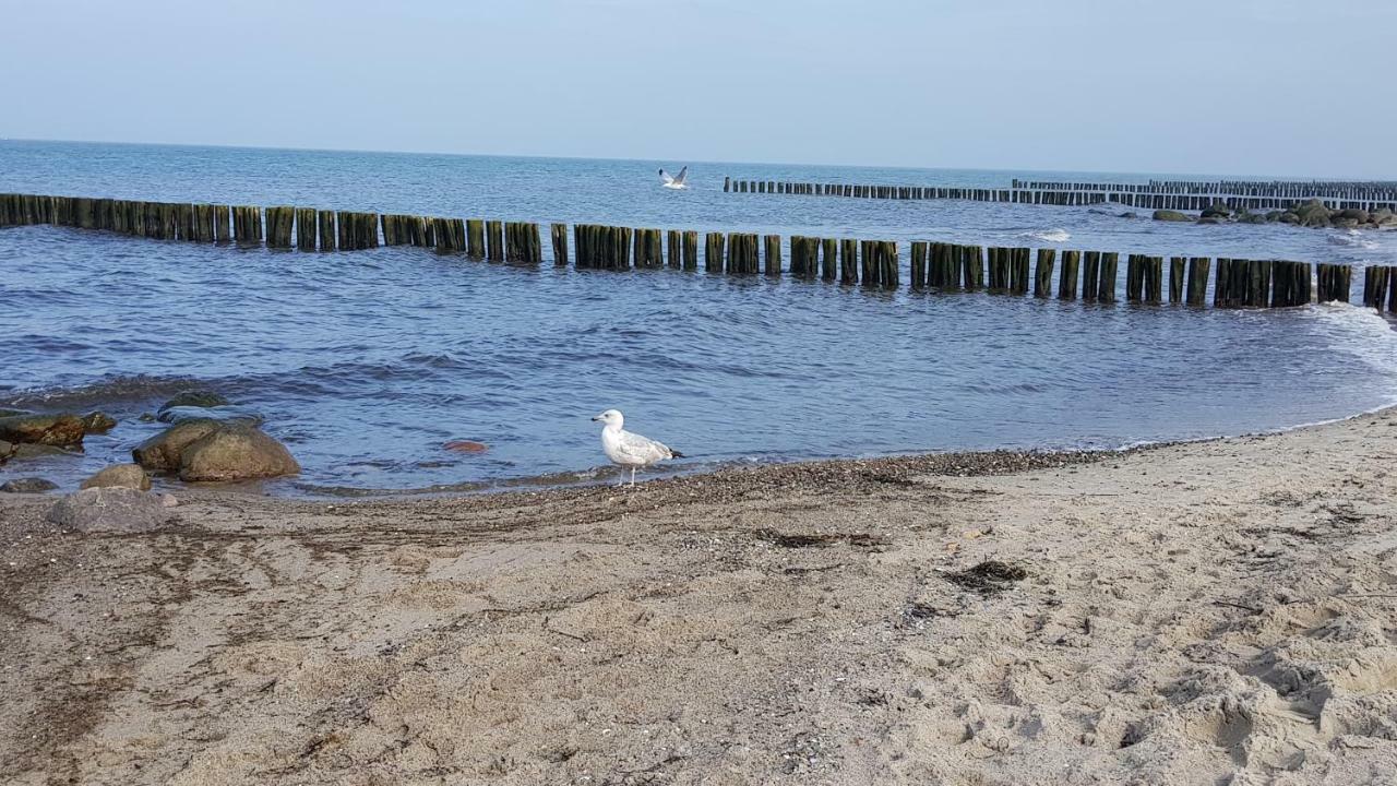 Fewo Valencia Am Rosenhof - 5 Sterne Dtv Ostseebad Kühlungsborn 外观 照片